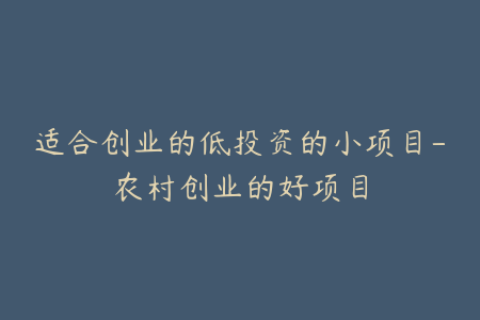 适合创业的低投资的小项目-农村创业的好项目
