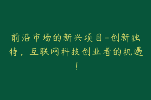 前沿市场的新兴项目-创新独特，互联网科技创业者的机遇！