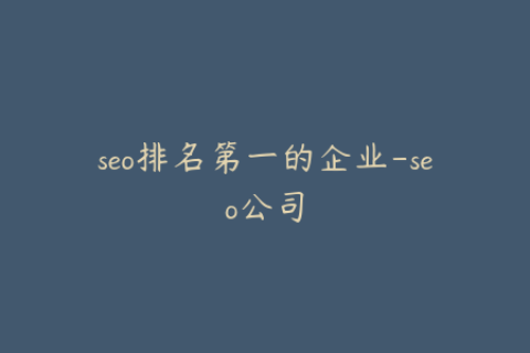 seo排名第一的企业-seo公司