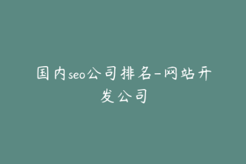 国内seo公司排名-网站开发公司