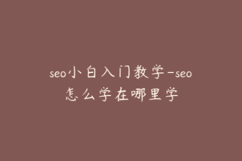 seo小白入门教学-seo怎么学在哪里学