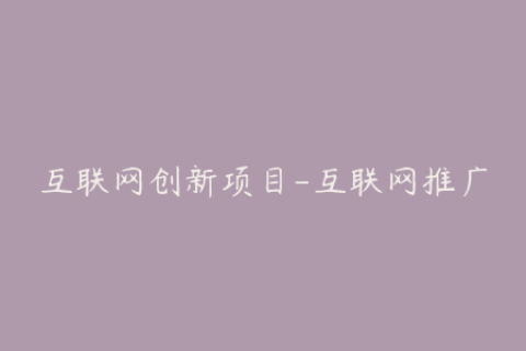 互联网创新项目-互联网推广