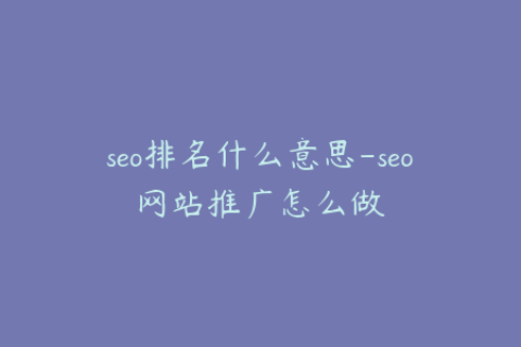 seo排名什么意思-seo网站推广怎么做