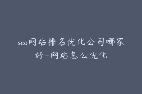 seo网站排名优化公司哪家好-网站怎么优化