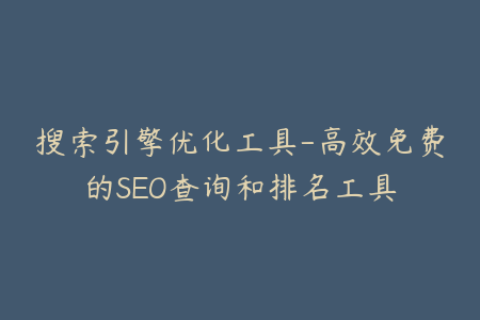 搜索引擎优化工具-高效免费的SEO查询和排名工具