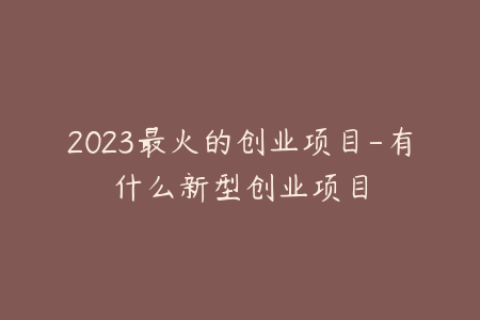 2023最火的创业项目-有什么新型创业项目