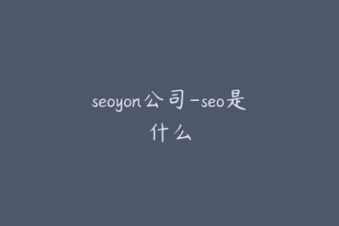 seoyon公司-seo是什么