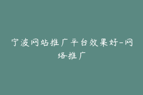 宁波网站推广平台效果好-网络推广
