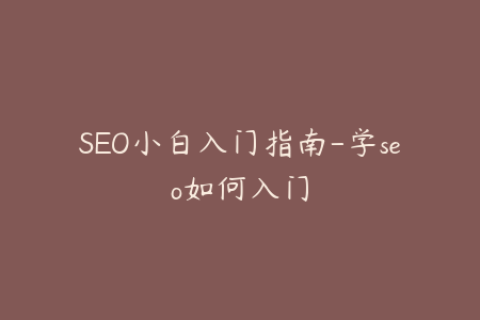 SEO小白入门指南-学seo如何入门