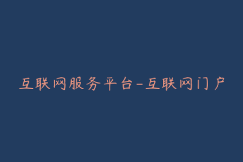 互联网服务平台-互联网门户