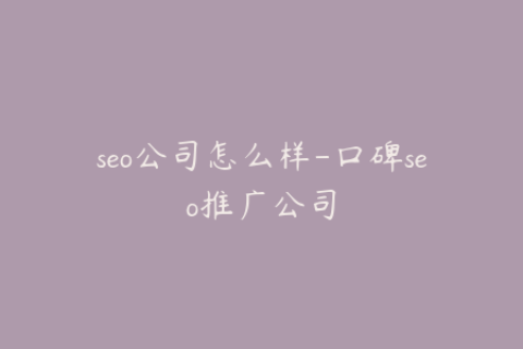seo公司怎么样-口碑seo推广公司