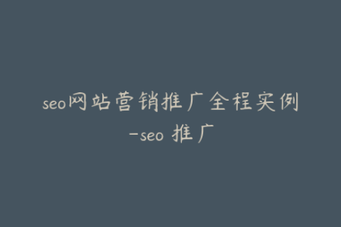 seo网站营销推广全程实例-seo 推广