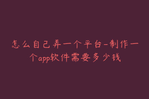 怎么自己弄一个平台-制作一个app软件需要多少钱