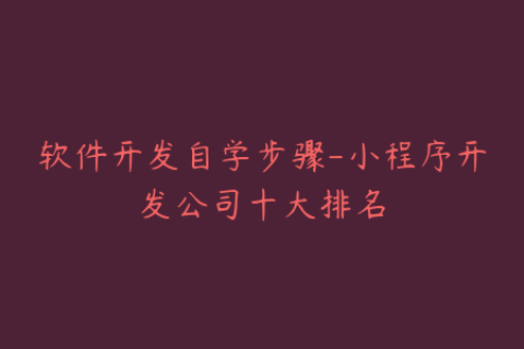 软件开发自学步骤-小程序开发公司十大排名