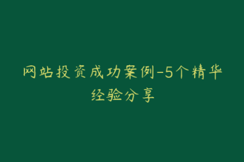 网站投资成功案例-5个精华经验分享