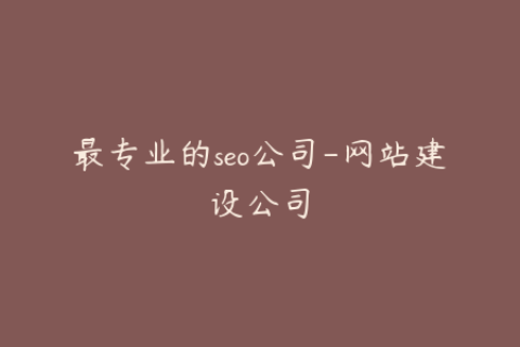 最专业的seo公司-网站建设公司