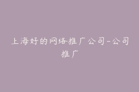 上海好的网络推广公司-公司推广