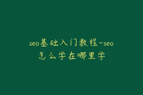 seo基础入门教程-seo怎么学在哪里学
