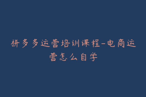 拼多多运营培训课程-电商运营怎么自学
