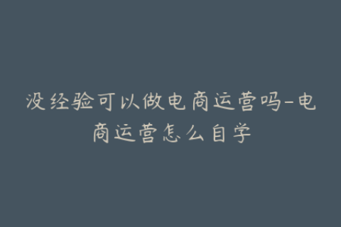 没经验可以做电商运营吗-电商运营怎么自学