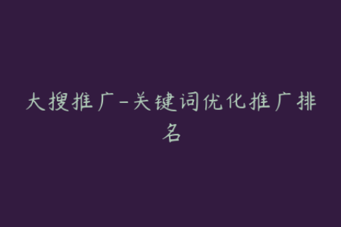 大搜推广-关键词优化推广排名