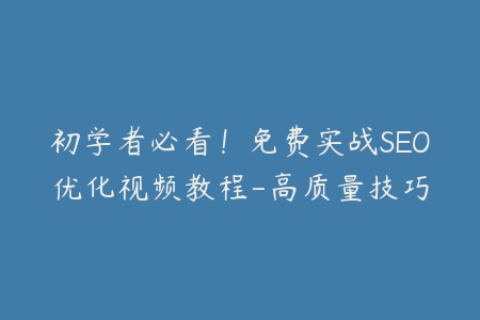 初学者必看！免费实战SEO优化视频教程-高质量技巧