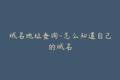 域名地址查询-怎么知道自己的域名