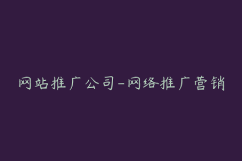网站推广公司-网络推广营销