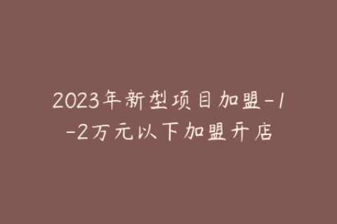 2023年新型项目加盟-1-2万元以下加盟开店