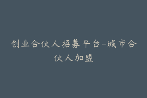创业合伙人招募平台-城市合伙人加盟