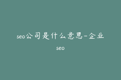 seo公司是什么意思-企业seo