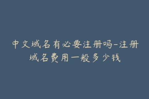 中文域名有必要注册吗-注册域名费用一般多少钱