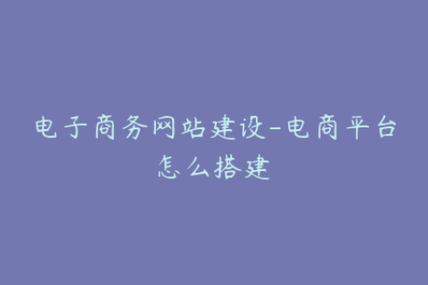 电子商务网站建设-电商平台怎么搭建