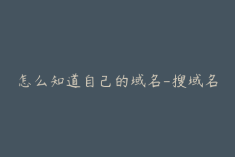 怎么知道自己的域名-搜域名