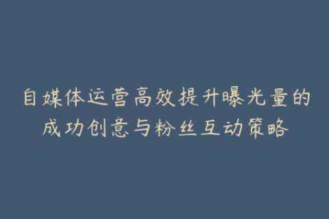 自媒体运营高效提升曝光量的成功创意与粉丝互动策略