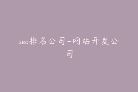 seo排名公司-网站开发公司