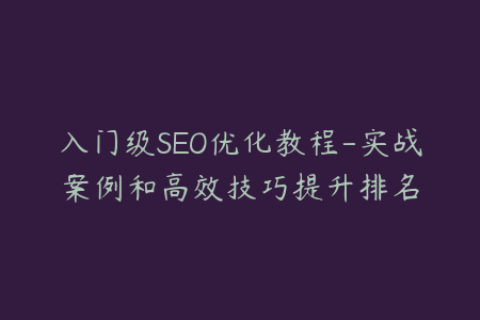 入门级SEO优化教程-实战案例和高效技巧提升排名
