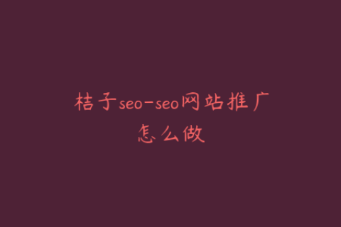桔子seo-seo网站推广怎么做