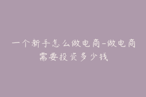 一个新手怎么做电商-做电商需要投资多少钱