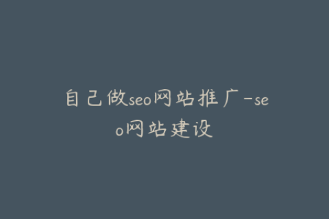 自己做seo网站推广-seo网站建设