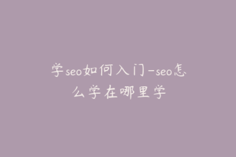 学seo如何入门-seo怎么学在哪里学