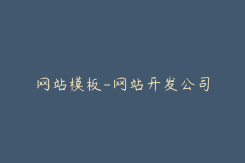 网站模板-网站开发公司