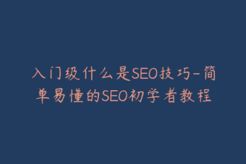 入门级什么是SEO技巧-简单易懂的SEO初学者教程