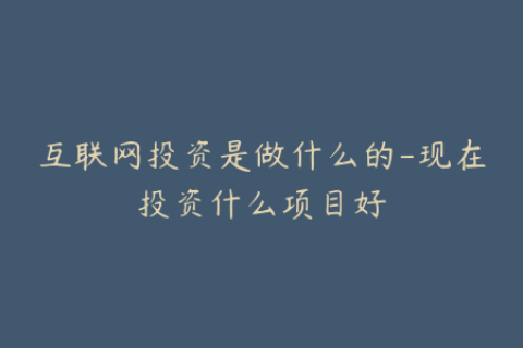 互联网投资是做什么的-现在投资什么项目好
