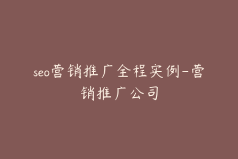 seo营销推广全程实例-营销推广公司