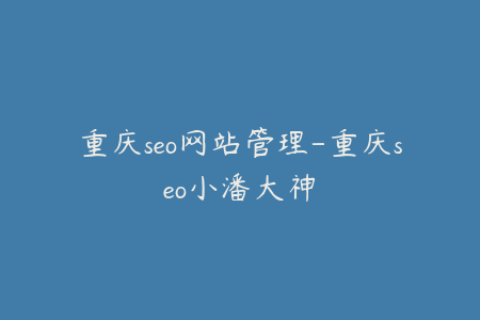 重庆seo网站管理-重庆seo小潘大神