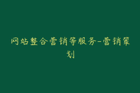 网站整合营销等服务-营销策划