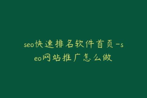 seo快速排名软件首页-seo网站推广怎么做