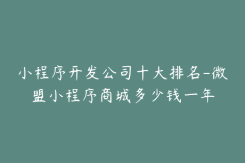 小程序开发公司十大排名-微盟小程序商城多少钱一年