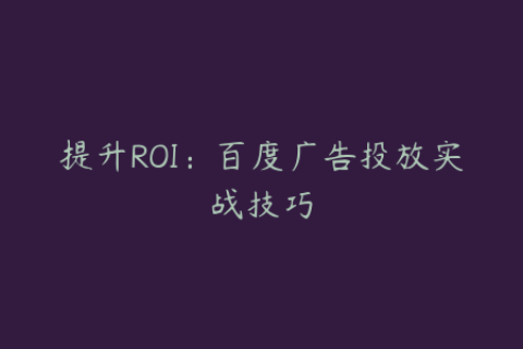 提升ROI：百度广告投放实战技巧